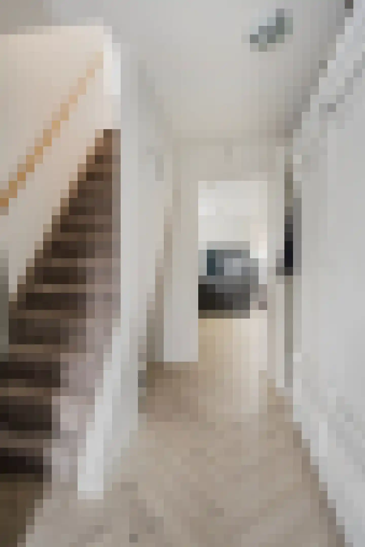 Zandkreekstraat 5 Lewedorp thumbnail 7