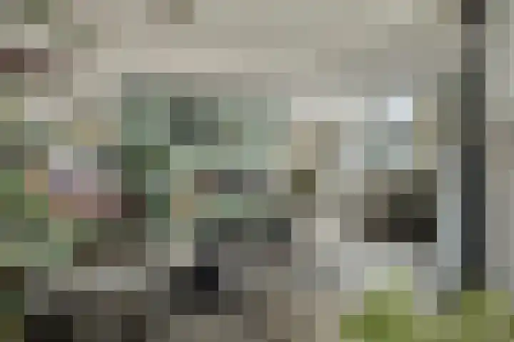 Zandkreekstraat 7 Lewedorp thumbnail 12