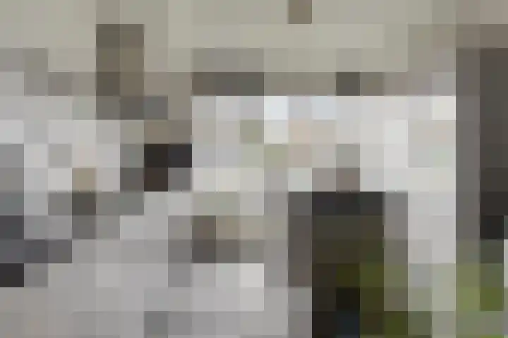 Zandkreekstraat 7 Lewedorp thumbnail 13