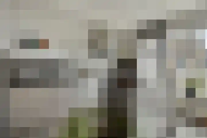 Zandkreekstraat 7 Lewedorp thumbnail 14