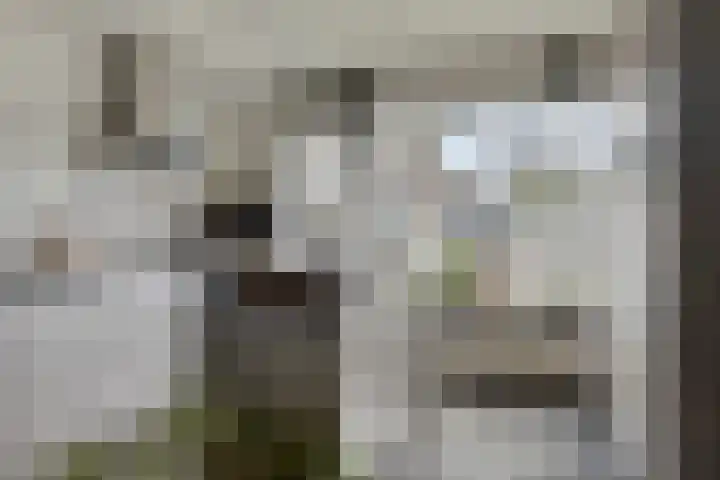 Zandkreekstraat 7 Lewedorp thumbnail 15