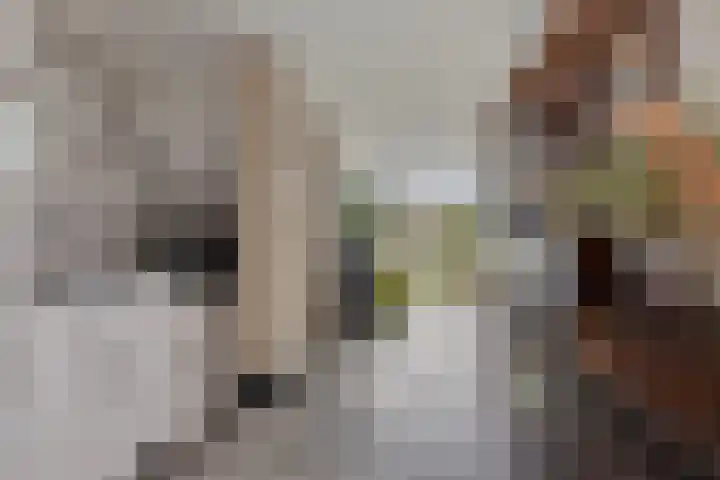 Zandkreekstraat 7 Lewedorp thumbnail 18