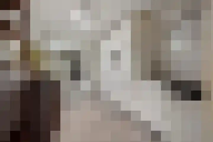 Zandkreekstraat 7 Lewedorp thumbnail 19