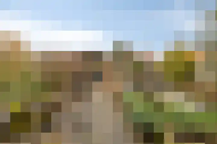 Zandkreekstraat 7 Lewedorp thumbnail 31