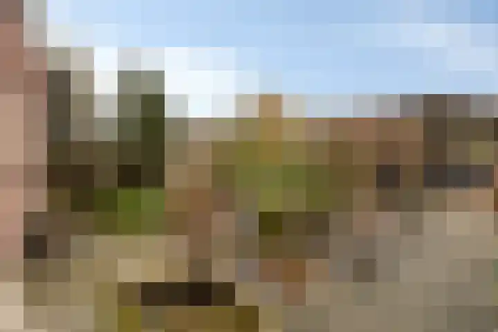 Zandkreekstraat 7 Lewedorp thumbnail 32
