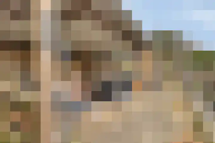 Zandkreekstraat 7 Lewedorp thumbnail 33
