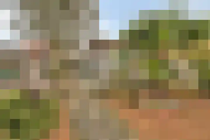 Zandkreekstraat 7 Lewedorp thumbnail 35