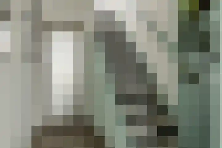 Zandkreekstraat 7 Lewedorp thumbnail 4