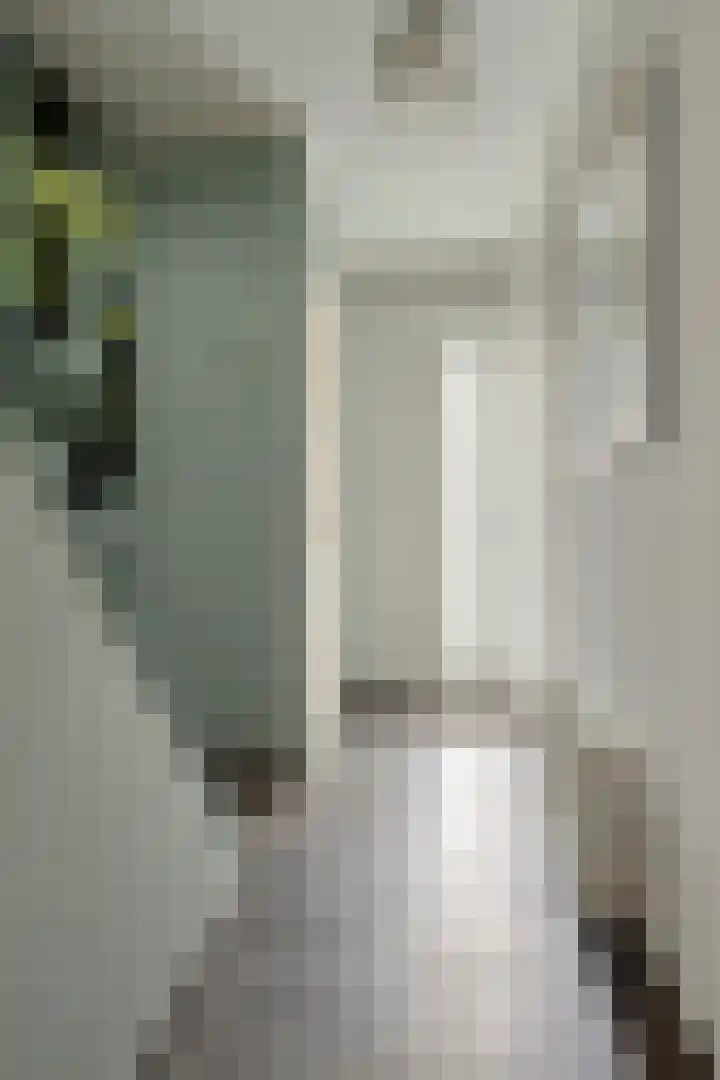 Zandkreekstraat 7 Lewedorp thumbnail 5