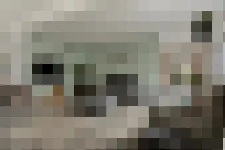 Zandkreekstraat 7 Lewedorp thumbnail 7