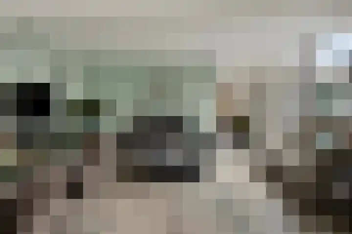Zandkreekstraat 7 Lewedorp thumbnail 8