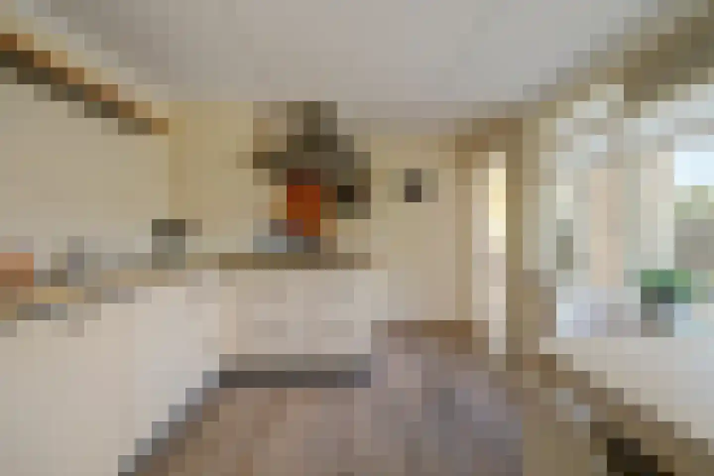 Zandkreekstraat 8 Lewedorp thumbnail 23