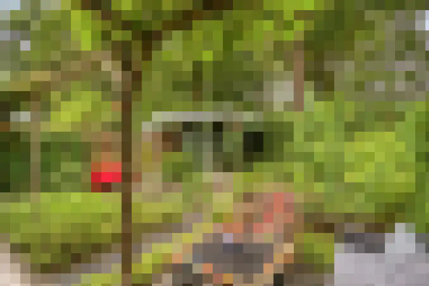 Zandkuil 18 Melick thumbnail 36