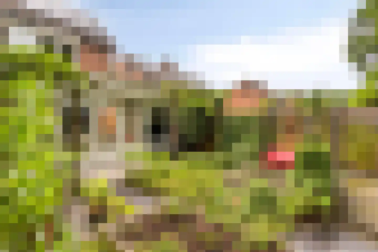 Zandkuil 18 Melick thumbnail 37