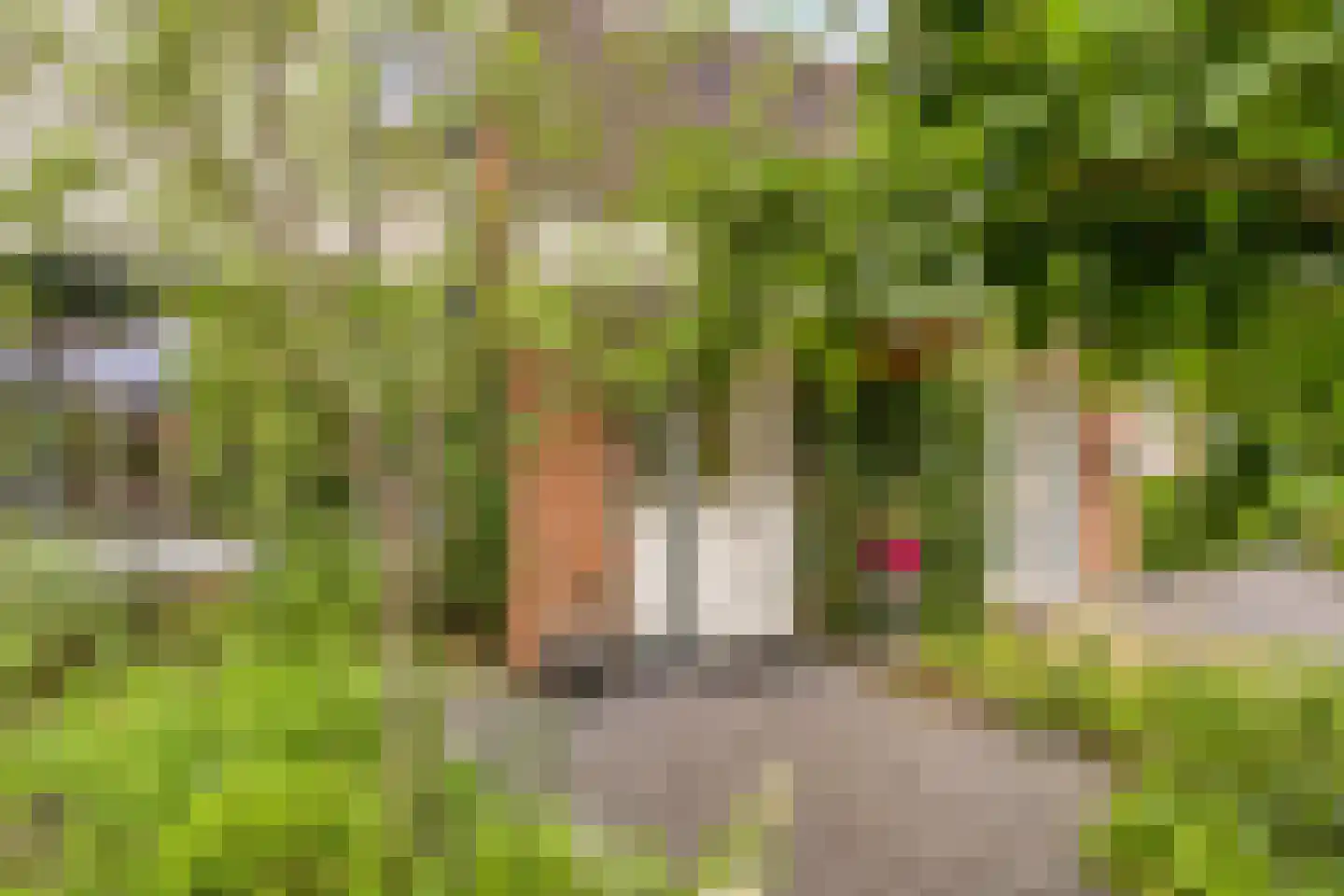 Zandkuil 18 Melick thumbnail 40