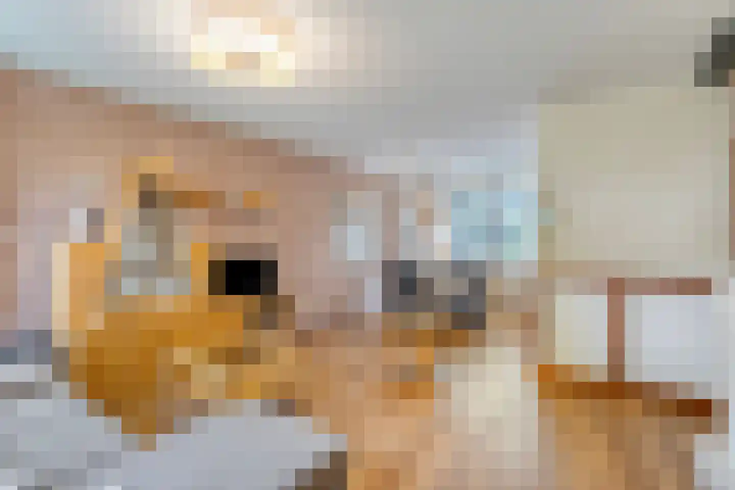Zandkuil 18 Melick thumbnail 6