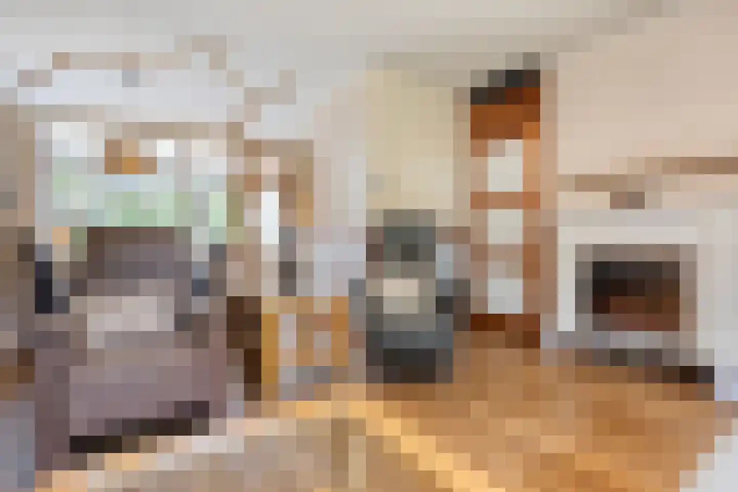 Zandkuil 18 Melick thumbnail 8