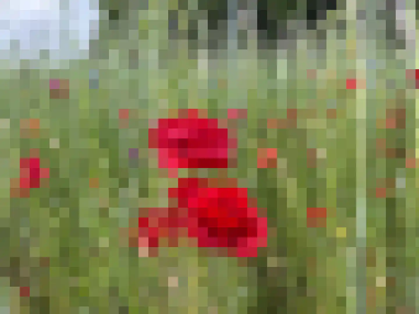 Zandkuil 38 Melick thumbnail 27
