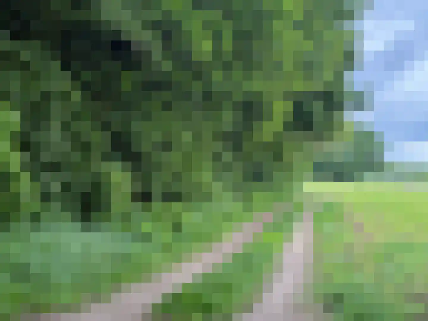 Zandkuil 38 Melick thumbnail 31