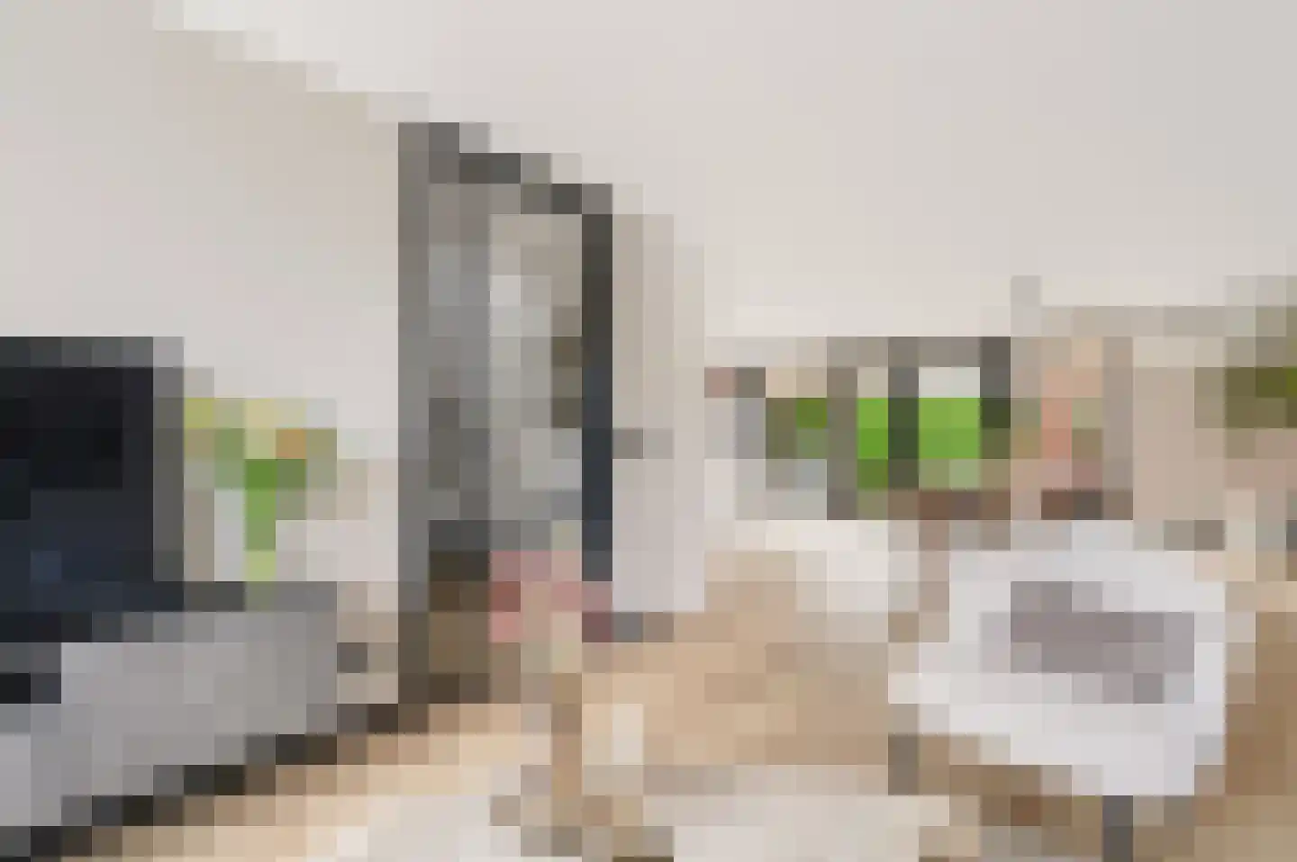 Zandkuilenweg 7 Daarle thumbnail 10