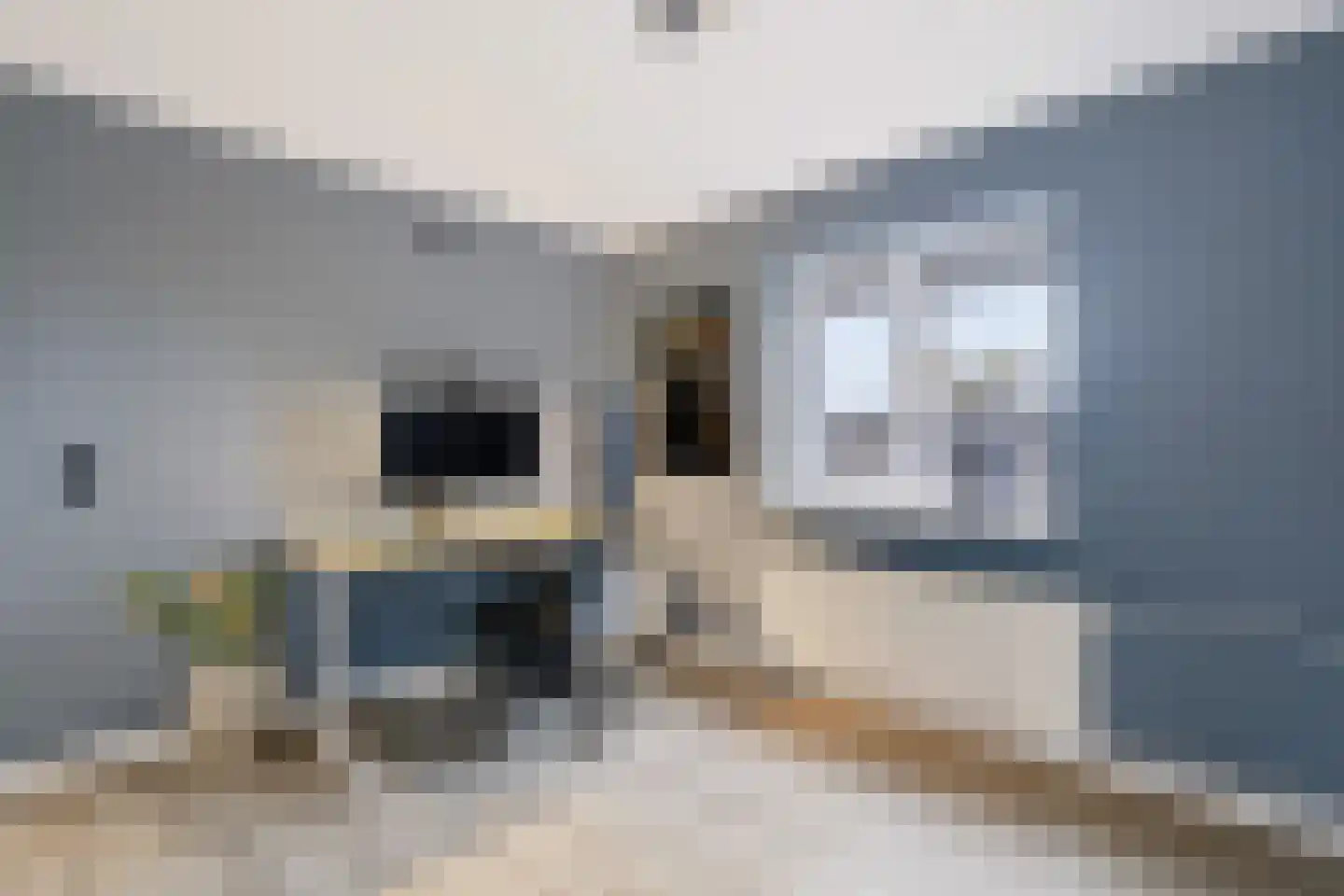 Zandkuilenweg 7 Daarle thumbnail 17