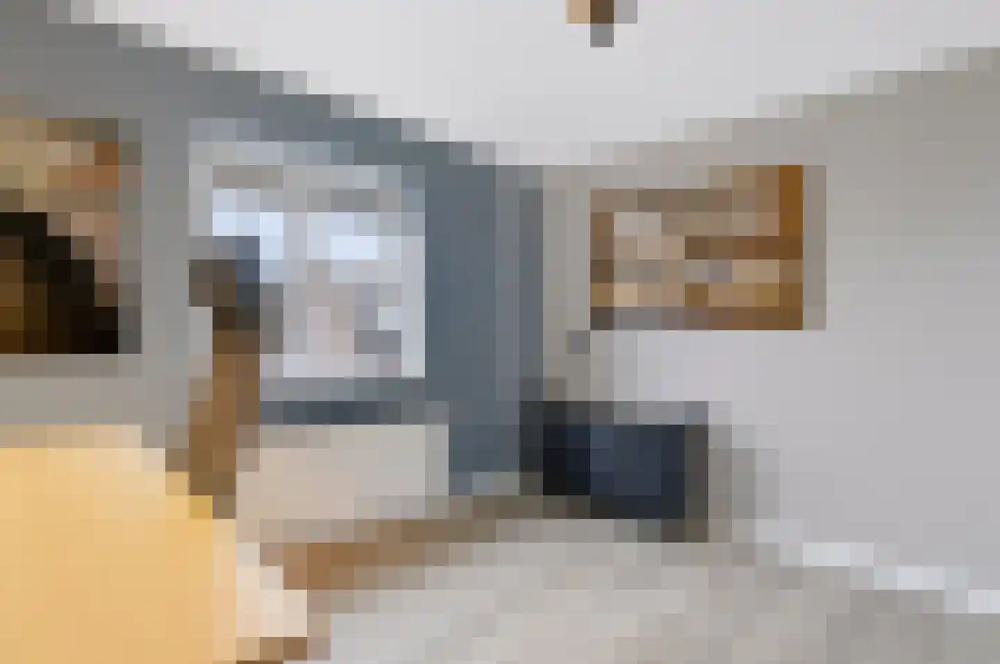 Zandkuilenweg 7 Daarle thumbnail 18