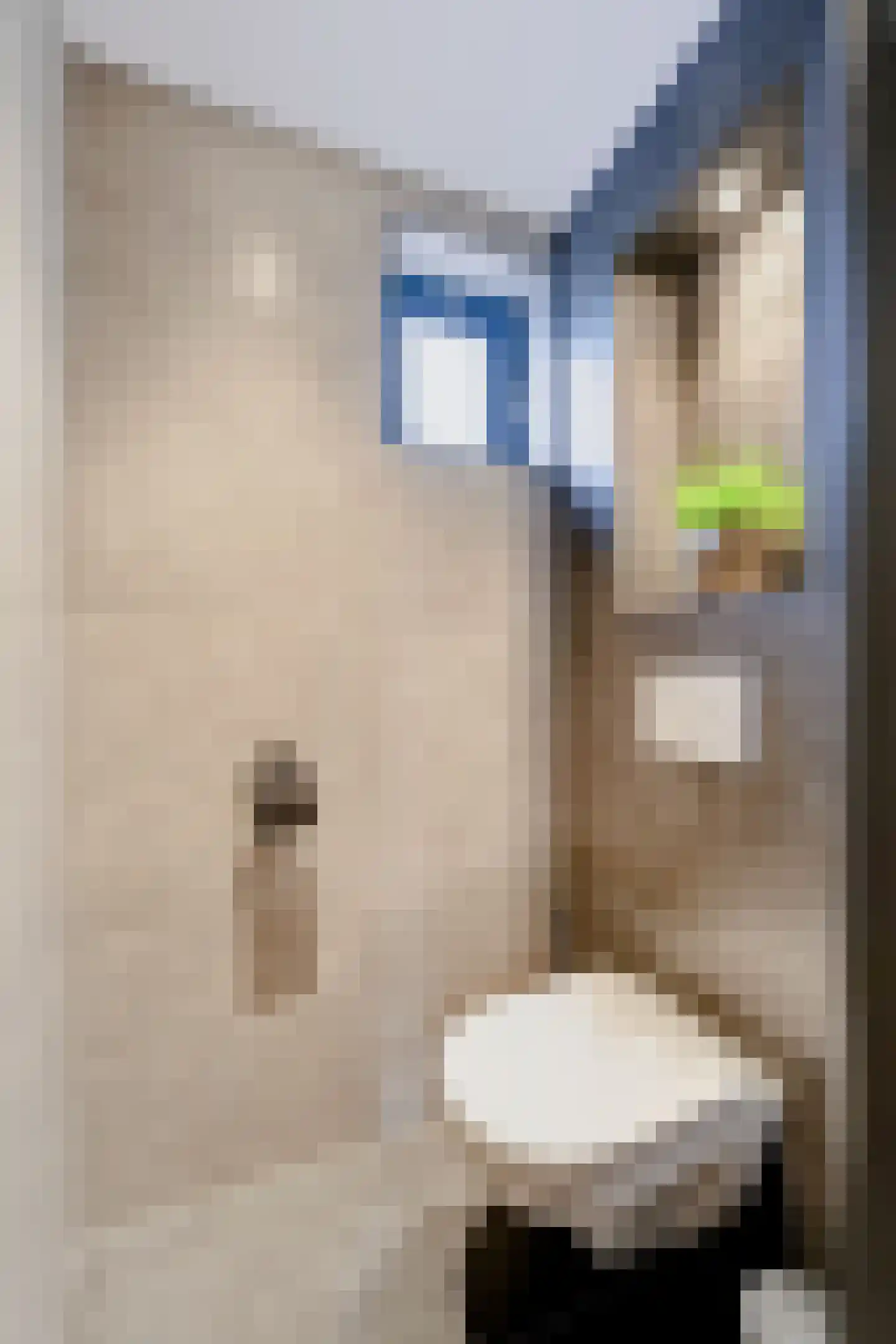Zandkuilenweg 7 Daarle thumbnail 30