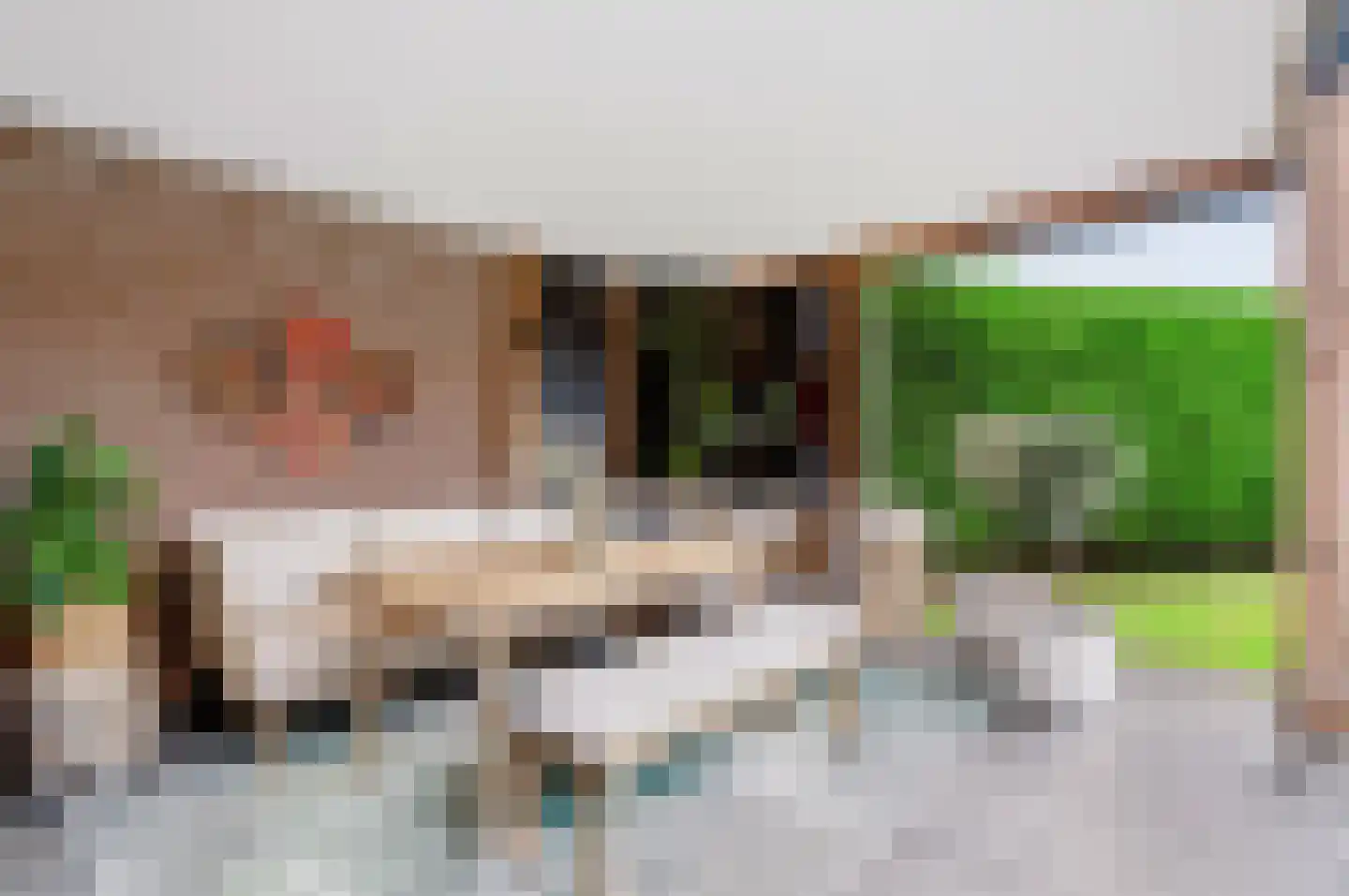 Zandkuilenweg 7 Daarle thumbnail 33