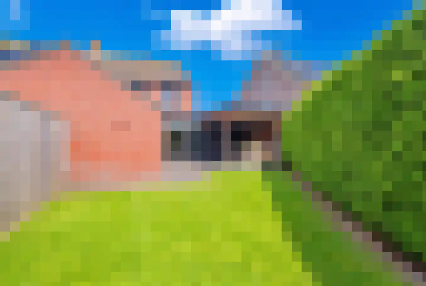 Zandkuilenweg 7 Daarle thumbnail 35