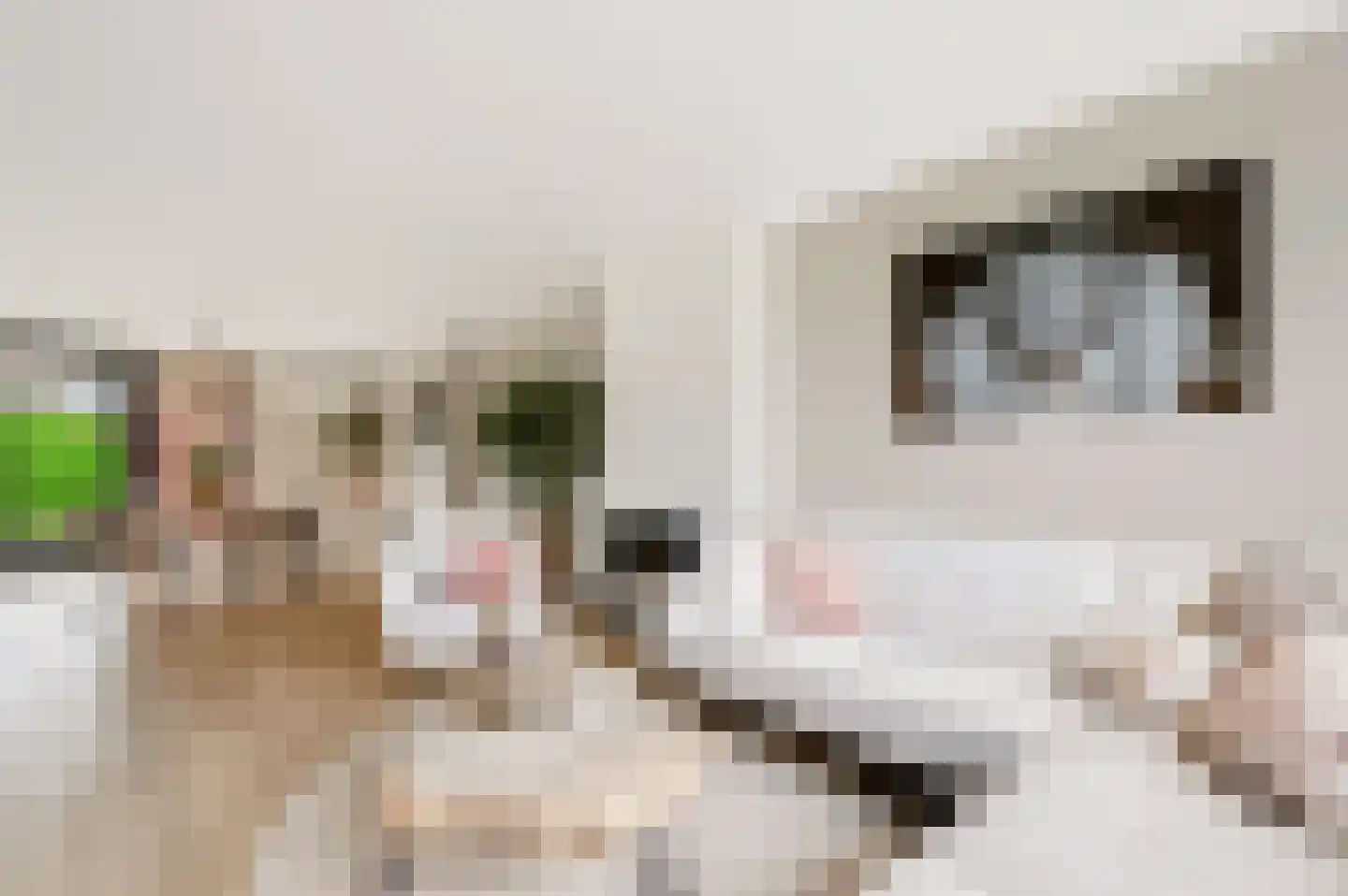 Zandkuilenweg 7 Daarle thumbnail 8