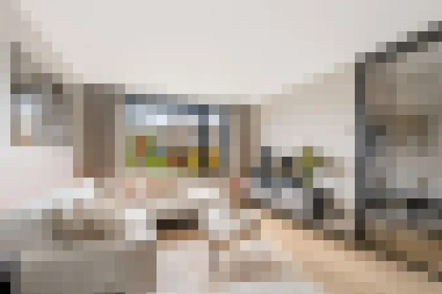 Zandkuilenweg 7 Daarle thumbnail 9