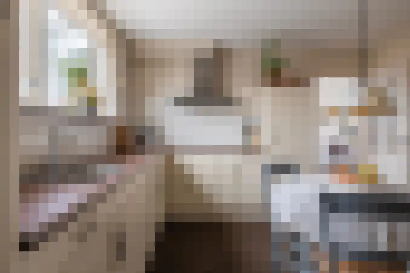 Zandlaan 30 Nieuw-Amsterdam thumbnail 19