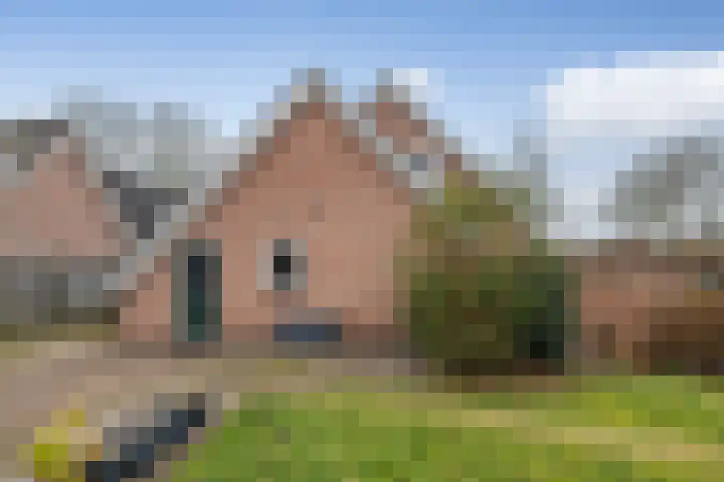 Zandlaan 30 Nieuw-Amsterdam thumbnail 41