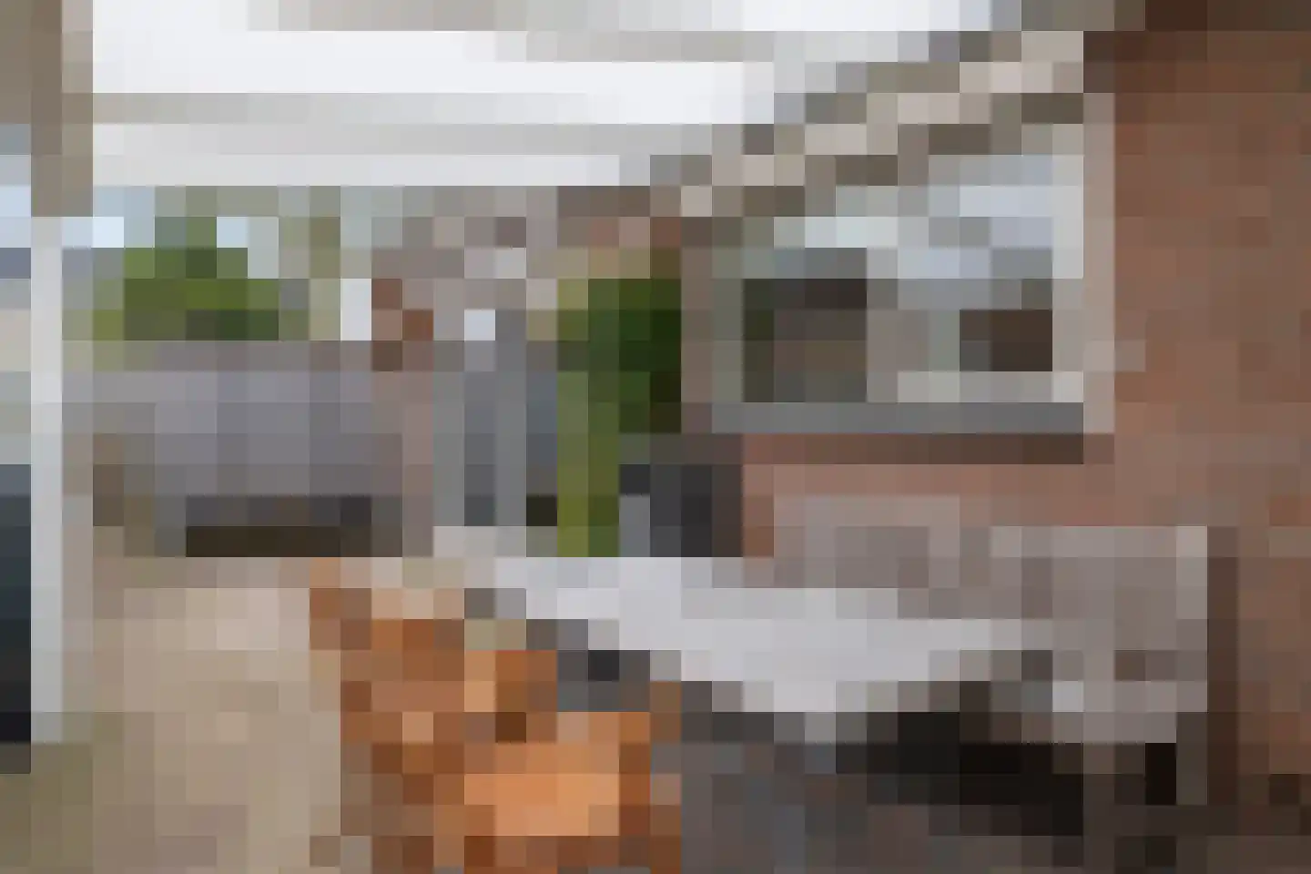 Zandlaan 30 Nieuw-Amsterdam thumbnail 43