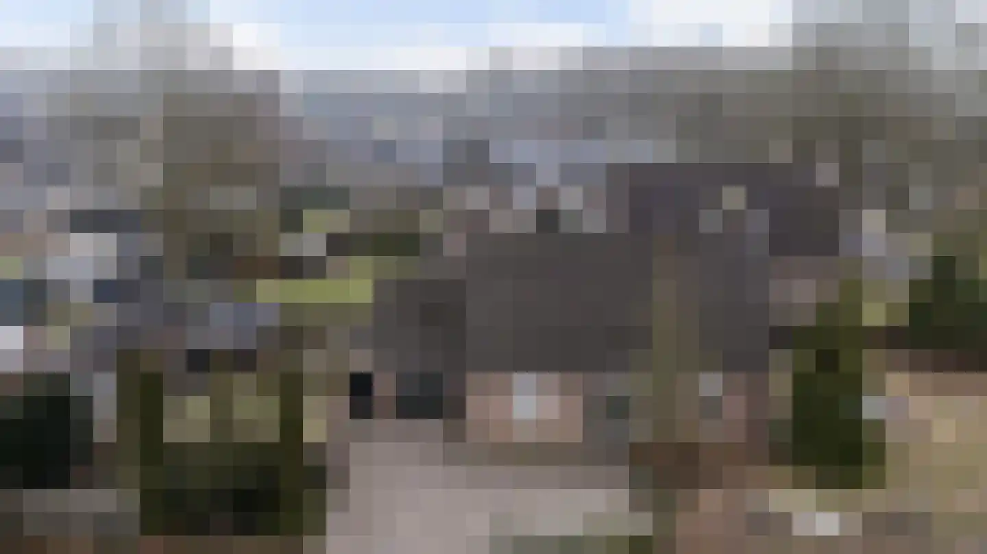 Zandlaan 30 Nieuw-Amsterdam thumbnail 44