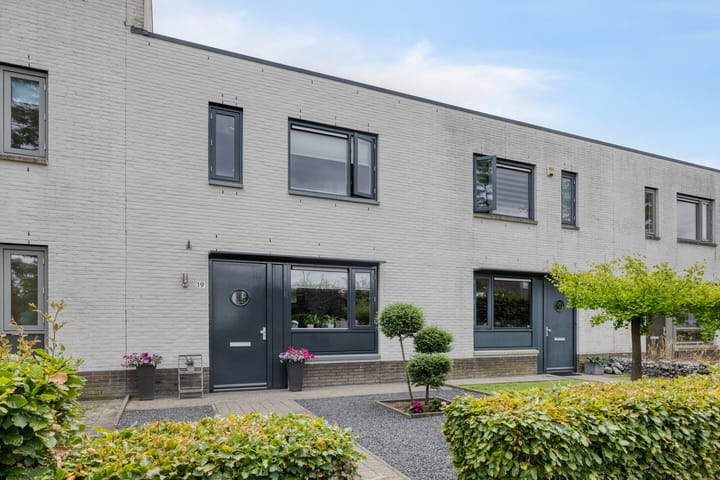 Zandloopkever 19 in Son en Breugel Foto