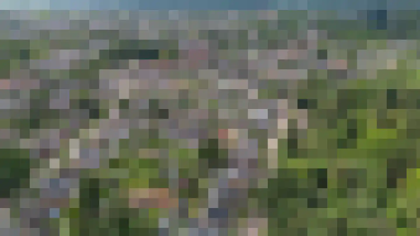 Zandloperweg 13 Apeldoorn thumbnail 40