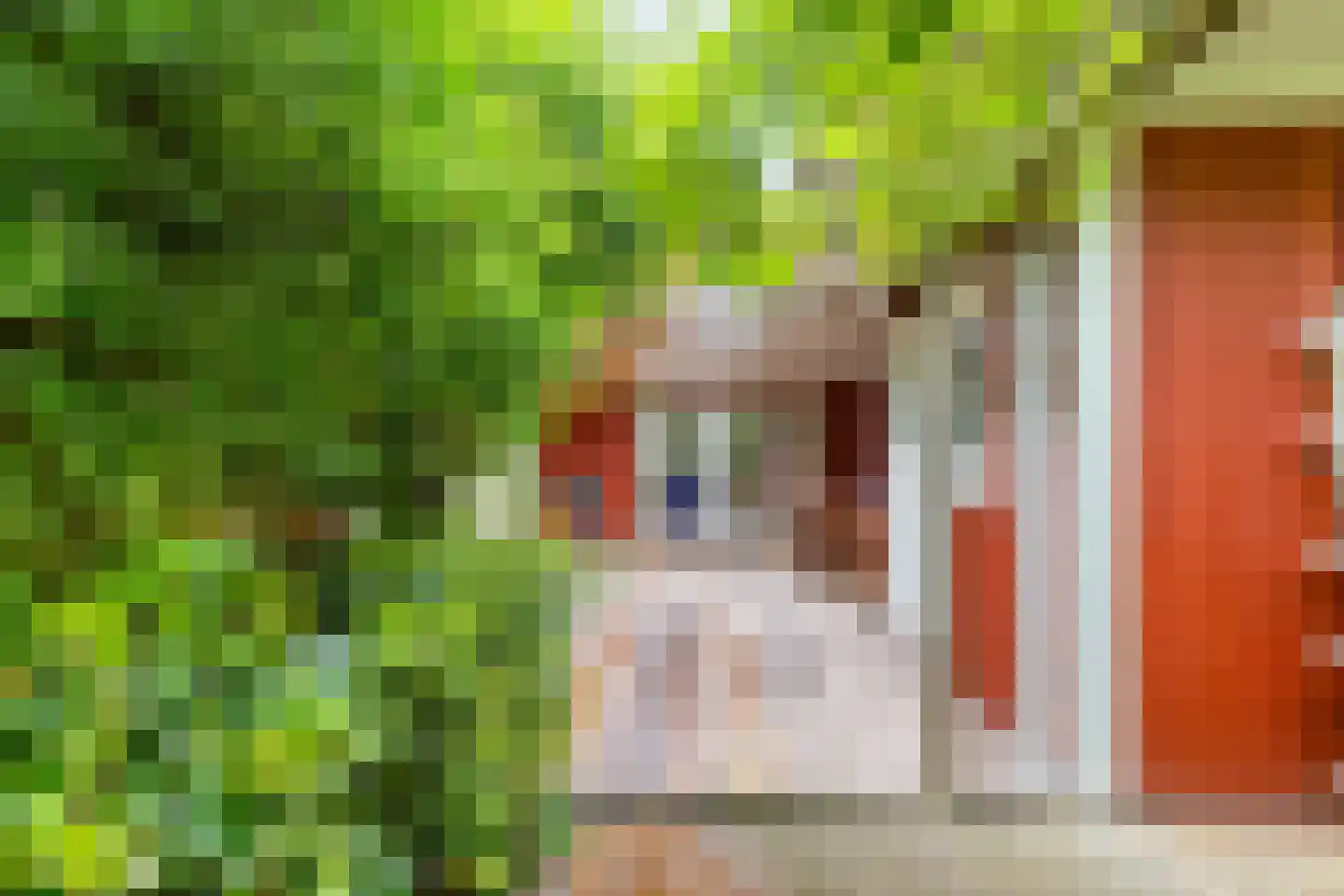 Zandlust 4 Tynaarlo thumbnail 11