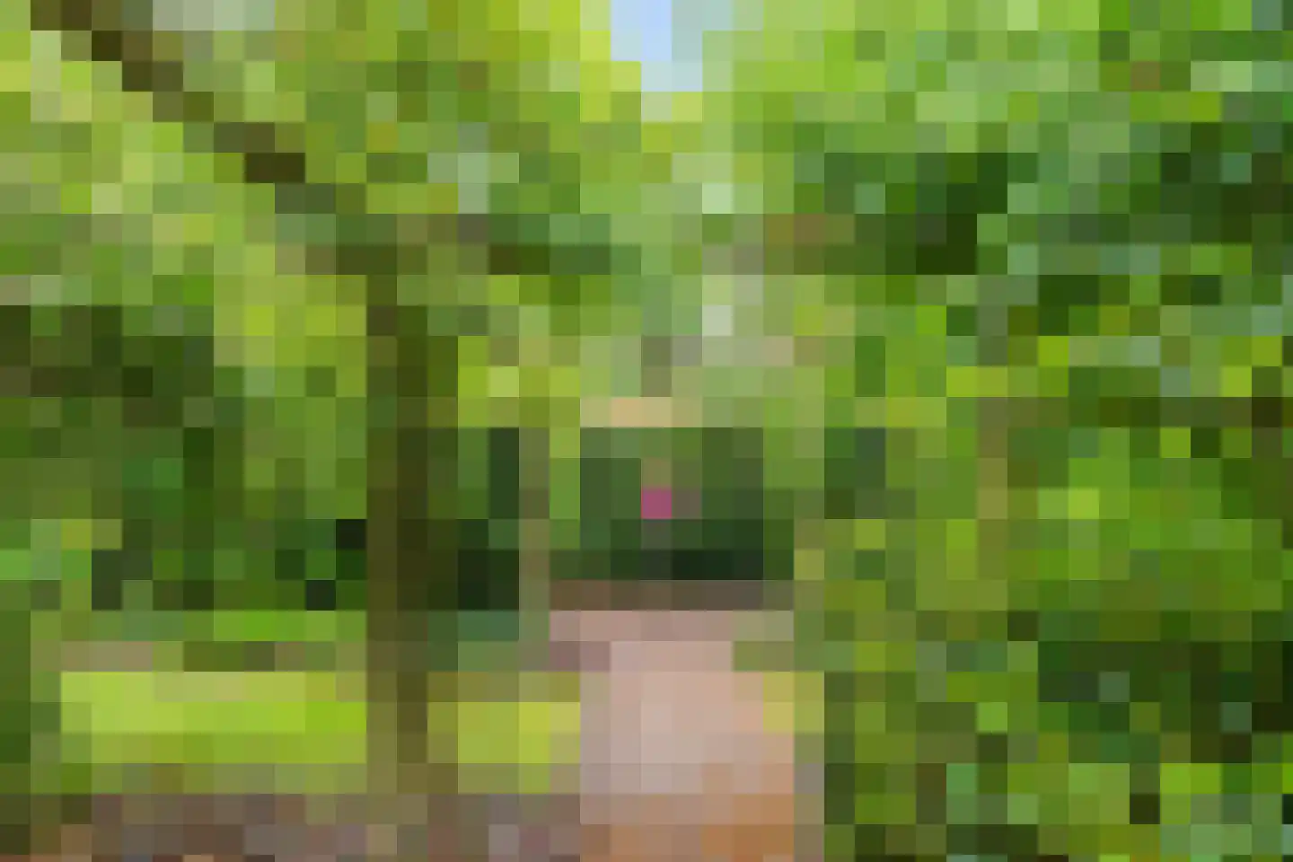 Zandlust 4 Tynaarlo thumbnail 13