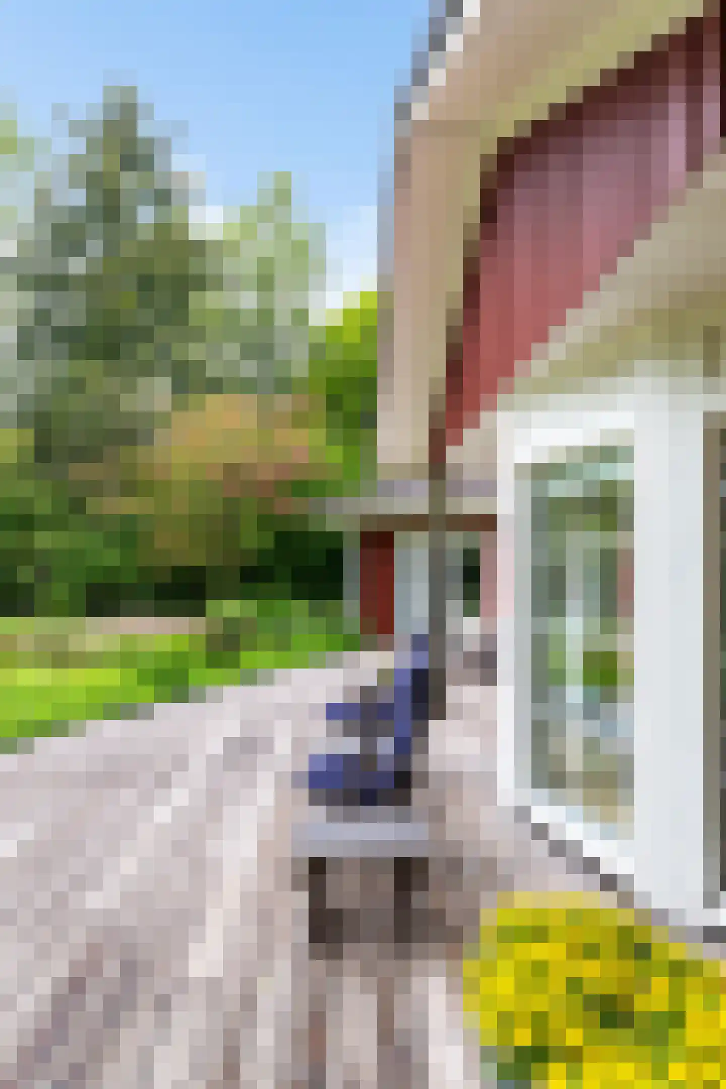 Zandlust 4 Tynaarlo thumbnail 14