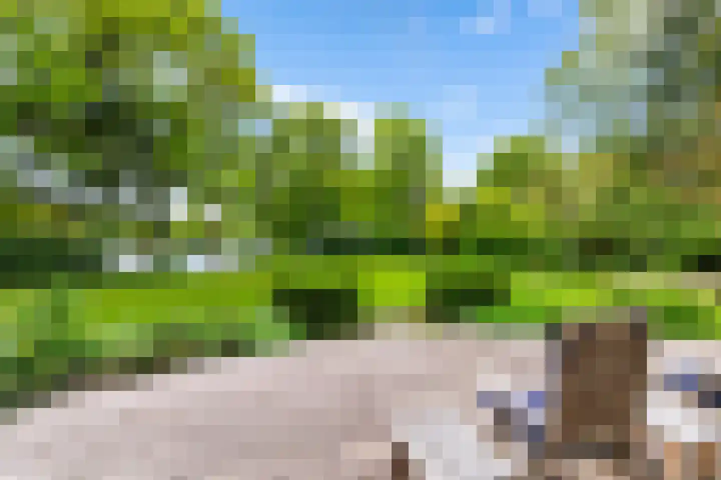 Zandlust 4 Tynaarlo thumbnail 20