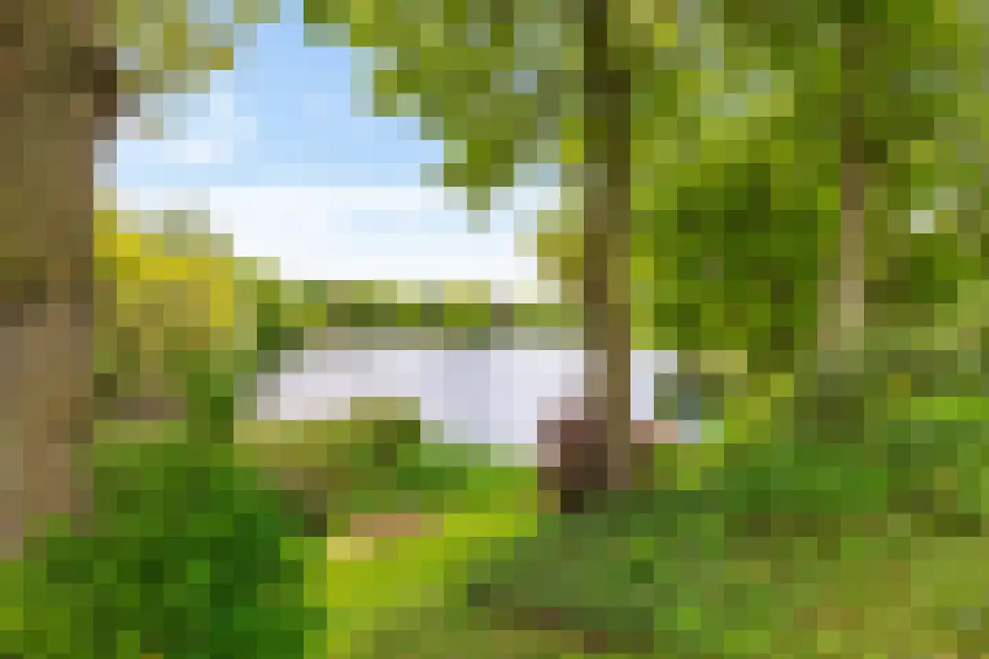 Zandlust 4 Tynaarlo thumbnail 22