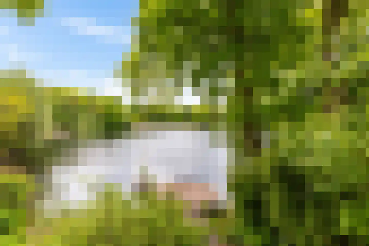 Zandlust 4 Tynaarlo thumbnail 25