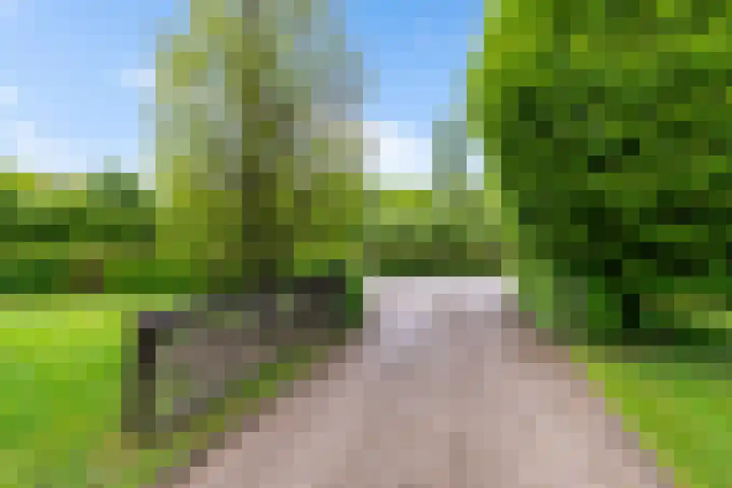 Zandlust 4 Tynaarlo foto 3