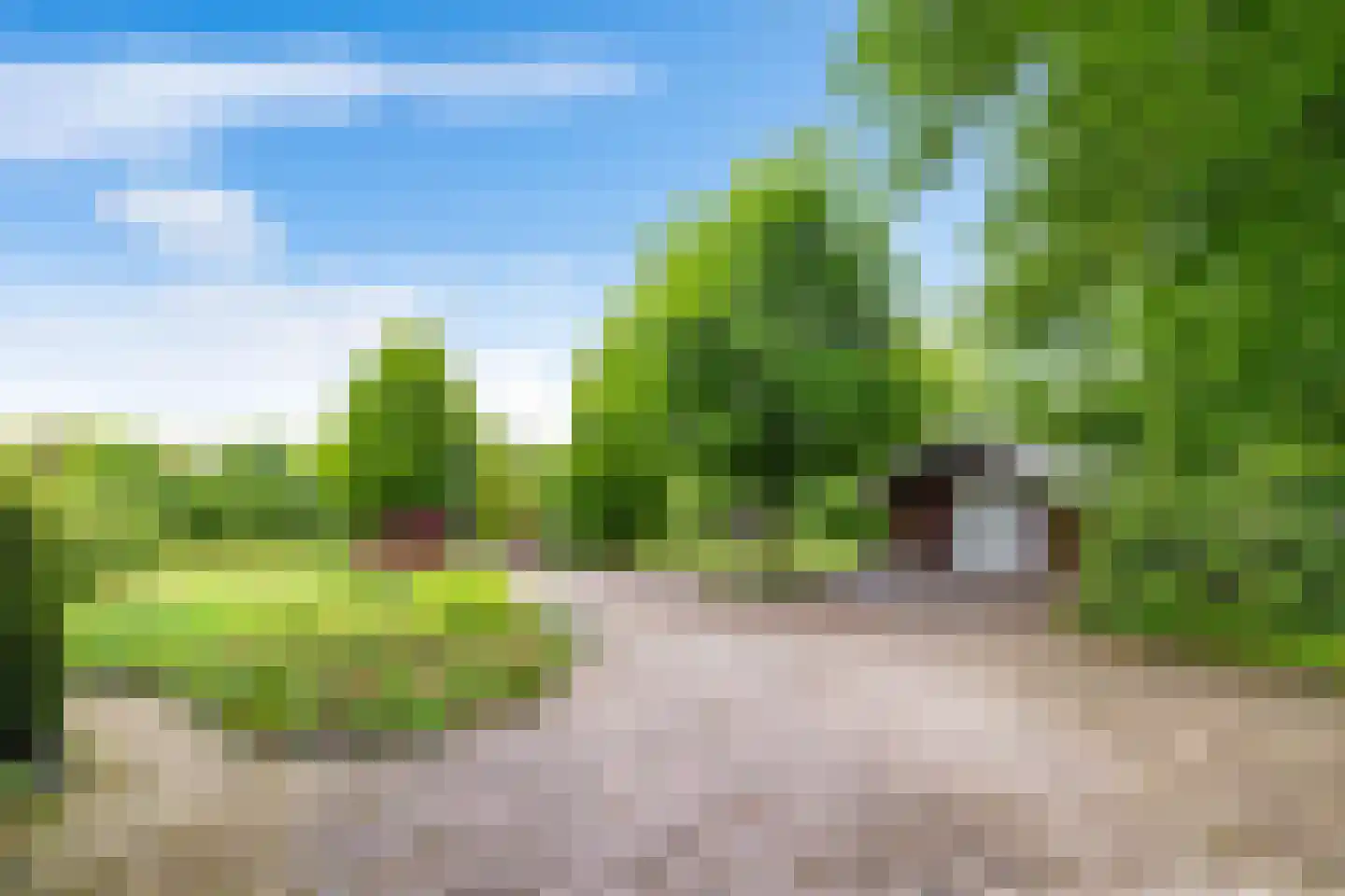 Zandlust 4 Tynaarlo thumbnail 4