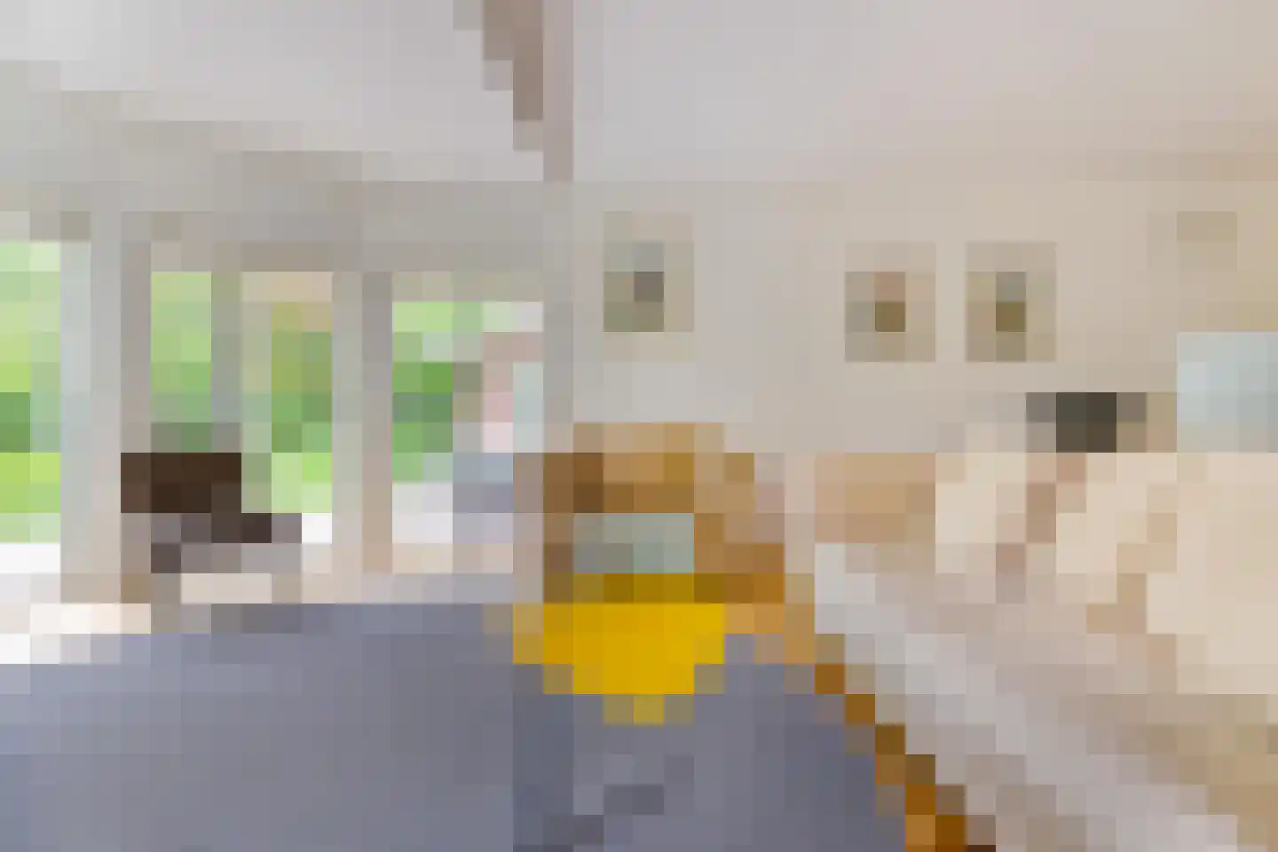 Zandlust 4 Tynaarlo thumbnail 41