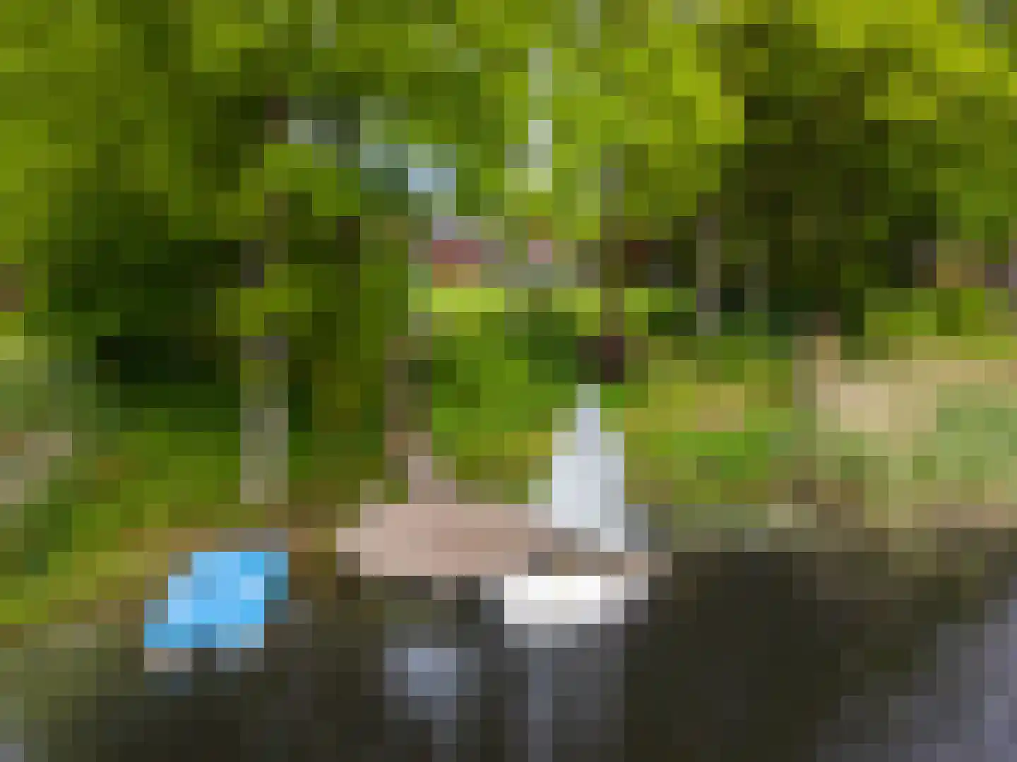 Zandlust 4 Tynaarlo thumbnail 61