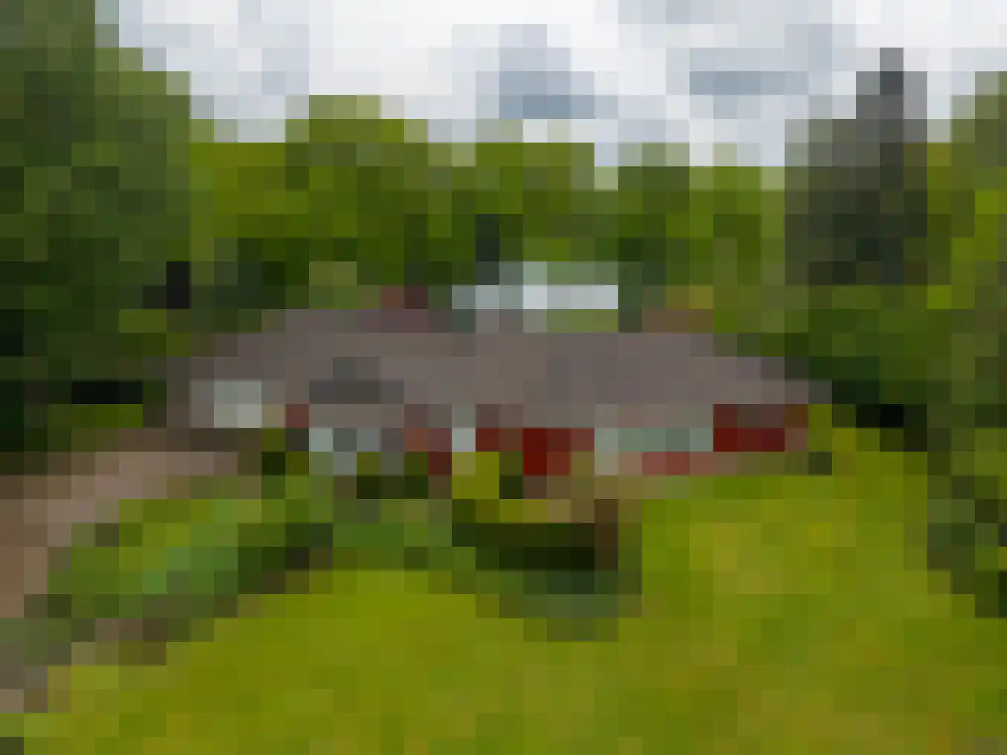 Zandlust 4 Tynaarlo thumbnail 64