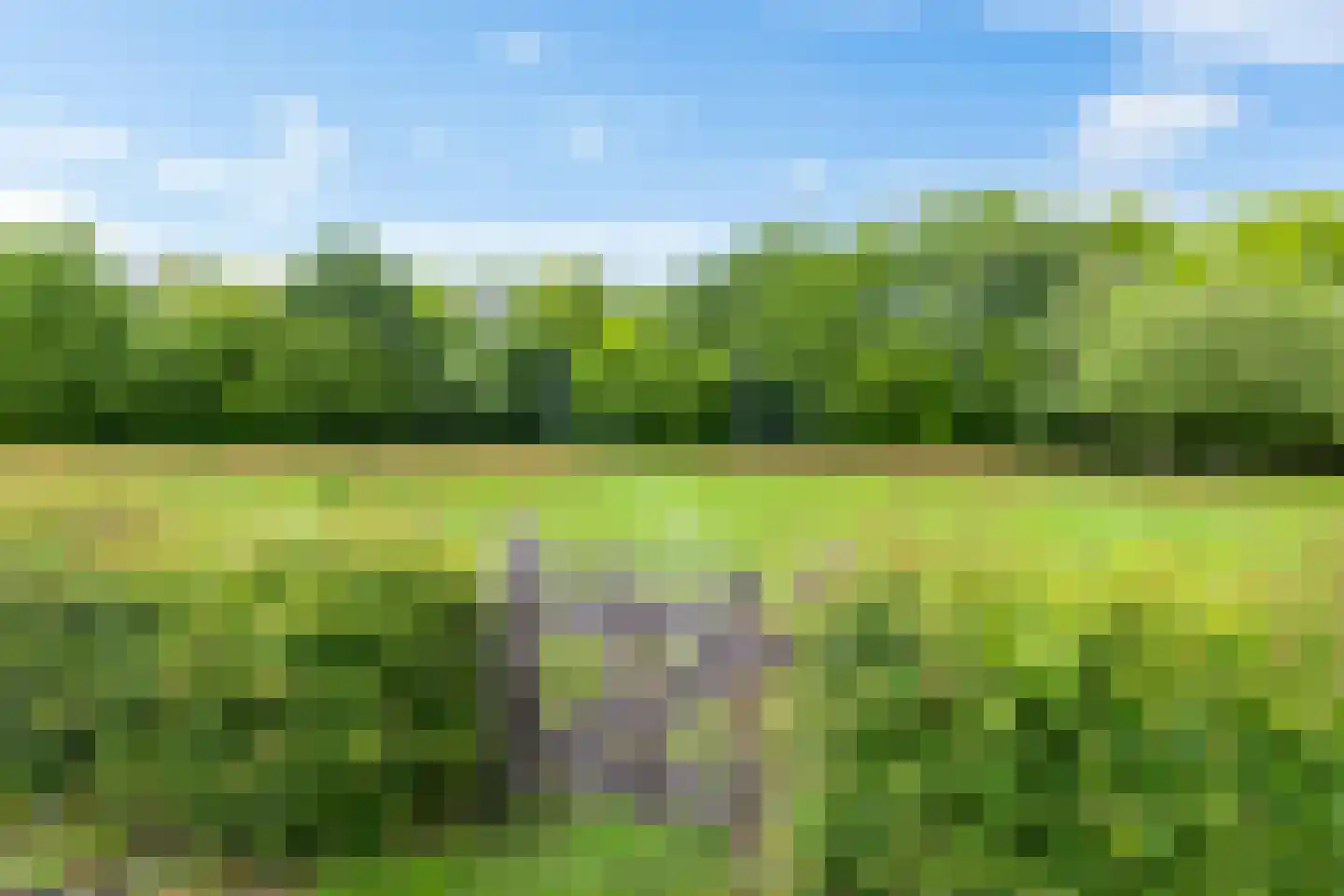 Zandlust 4 Tynaarlo thumbnail 69
