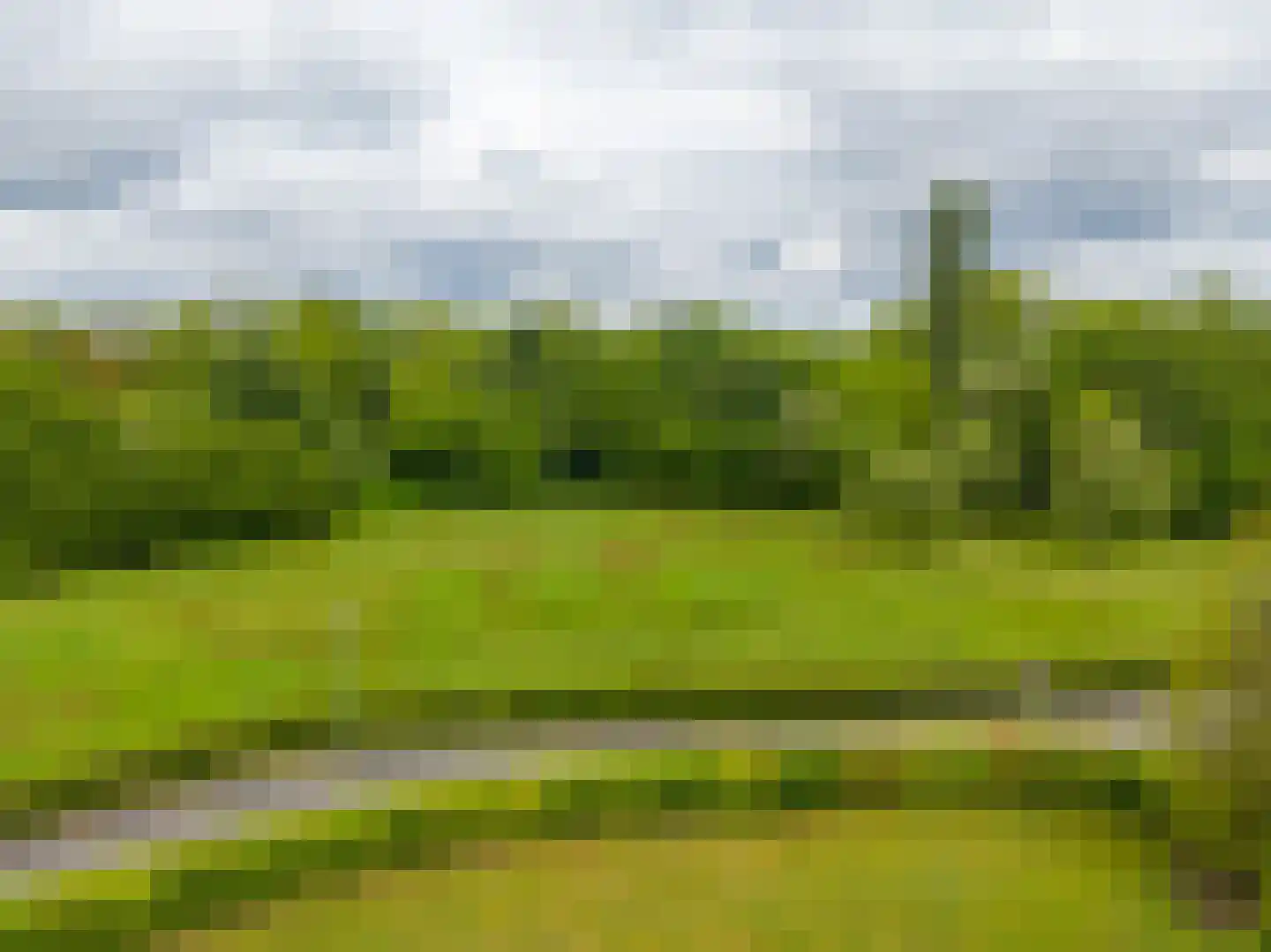 Zandlust 4 Tynaarlo thumbnail 70